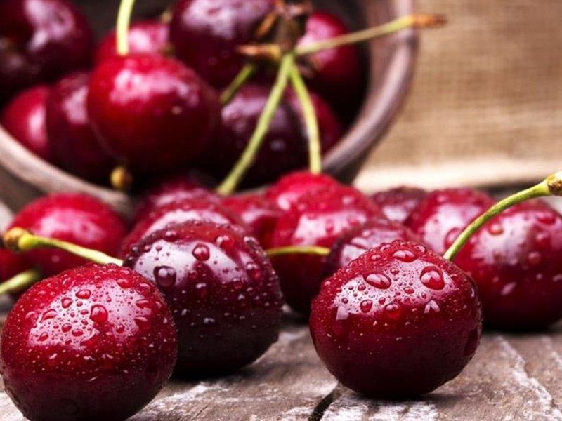 Вишня купить саженцы из питомника в Череповце